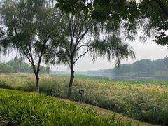 -北京麋鹿生态实验中心