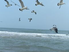 -那香海钻石沙滩浴场