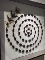 -酷嗒动物文化乐园(cutezoo西溪乐天城店)