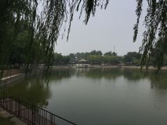 -西海子公园