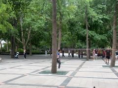 -团结湖公园