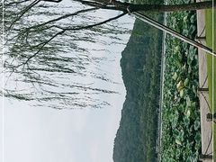 -西湖游船