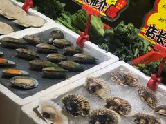 -蚝专家(北滘店)