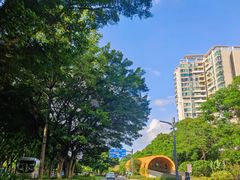 -史努比缤纷世界