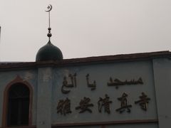 -老字号怡玺·藿香雅鱼(20年雅安店)