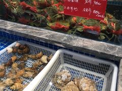 水产区-骏莱海鲜鱼港(五角场店)