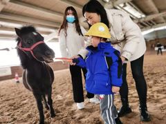 -宾果蒙特梭利托育儿童之家幼儿园(爱琴海店)