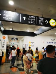 -上海交通大学医学院附属上海儿童医学中心(陆家嘴总院区)