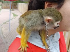 -水上乐园·欢乐世界