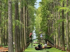 -渌洋湖湿地公园