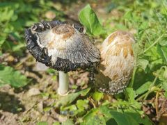 -遥桥古堡