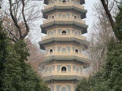 -灵谷景区