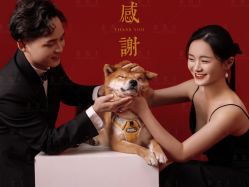 -金公主婚纱摄影(和平店)