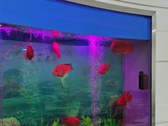 -雅悦齿科(顾村公园店)