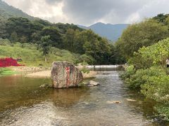 -广州市石门国家森林公园