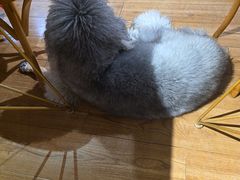 -沏点Trattoria意大利餐厅(新街口店)