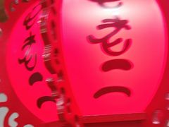-屯老二农家铁锅炖·行业领军者(梅江店)