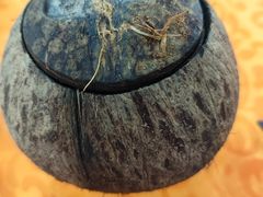 -红炎炎农家菜老字号(金水台店)