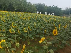 -渔岛海洋度假区