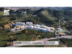 -龙坞茶村