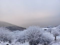 -太子岭滑雪场