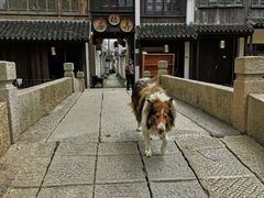 -黎里古镇