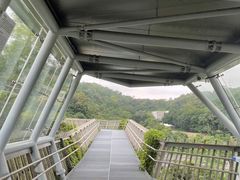 -福道