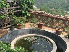 -葛子涧农家宴