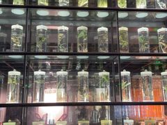 -广东中医药博物馆