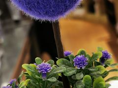 景观位-CoCo都可(新我格广场店)