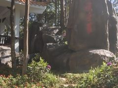 -广州市流溪河国家森林公园