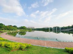 -东莞植物园