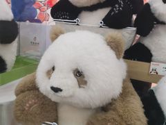-熊猫邮局(少城店)