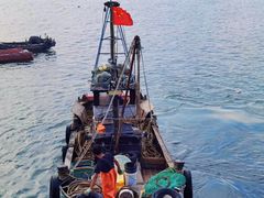 -巧克力渔家.小船海鲜胶东菜(万平口店)