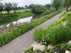 -长田漾湿地公园