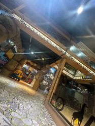 -卡通尼·Safari非洲探索乐园·生日会(金桥国际商业广场店)