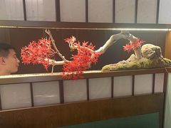 -牛New寿喜烧(新六百店)
