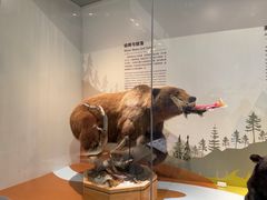 -成都梵高星空艺术馆(春熙路旗舰店)