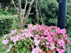 -青青世界