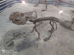 -国家自然博物馆