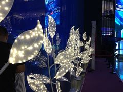 -成都浩海立方海洋公园