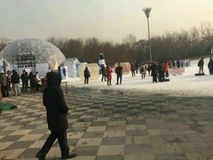 -北京亚布洛尼朝阳公园滑雪场