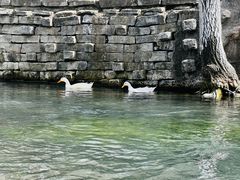 -水磨沟公园