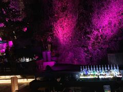 -Rock Bar Bali(Bali)