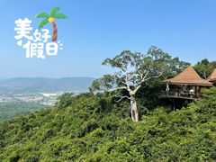 -亚龙湾热带天堂森林公园