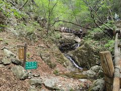 -本溪汤沟绿石谷森林公园