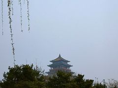-莲花池公园