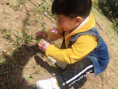 -永定河休闲森林公园