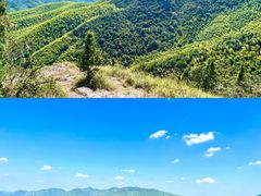 -莫干山风景区