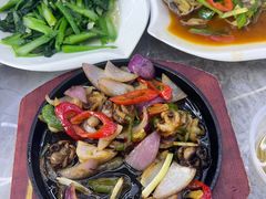 -西涌国际滨海旅游区